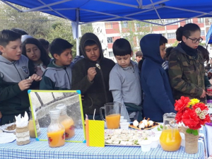 Vecinos y alumnos de Tejas Verdes participaron en jornada saludable