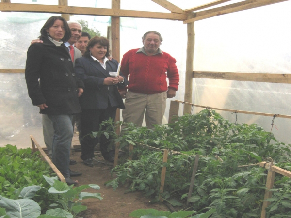 En convenio municipalidad y Chile solidario Alimentación saludable y ayuda económica para familias