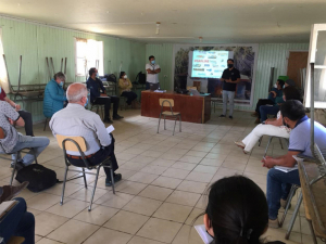 Municipio lidera diversas acciones por problemática de moscas en sector de Leyda