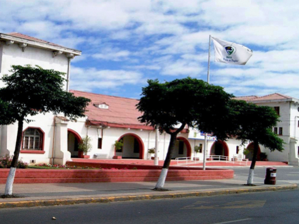 Licitación Pública “Servicio de mantenimiento de Áreas Verdes&quot;