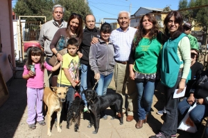 Continúa Programa de Esterilización de Mascotas en la comuna de San Antonio