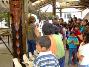 Variadas actividades ofrecerá este verano el Museo Municipal de Ciencias Naturales y Arqueología de San Antonio
