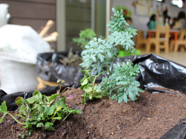 Mi Rinc&oacute;n M&aacute;gico culmina talleres de vacaciones de invierno