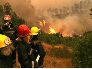 Tomemos conciencia y cuidemos lo nuestro, previniendo los incendios Forestales.