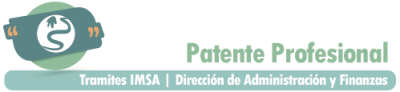 Patente Profesional