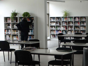 Académicos destacan importancia de la Biblioteca Pública Municipal “Vicente Huidobro”