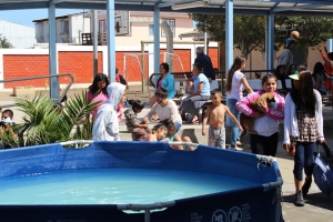 Municipalidad de San Antonio invita a participar de Vacaciones en tu Escuela y las Escuelas abiertas de Verano