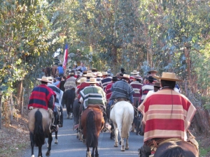 Todo un éxito la tradicional Fiesta San Isidro desarrollada en Cuncumen