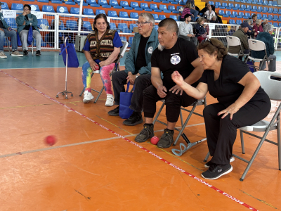 M&aacute;s de cien participantes tuvo Encuentro de Bochas en San Antonio