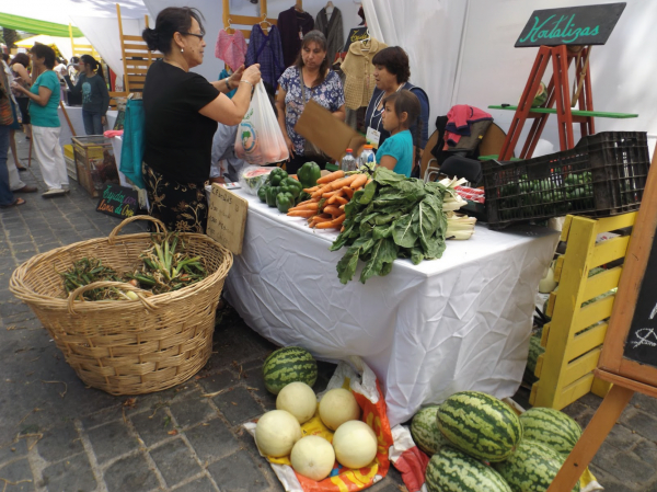 Municipalidad de San Antonio lanza revista digital para apoyar a emprendedores y peque&ntilde;os productores locales