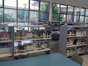 Biblioteca Pública Municipal Vicente Huidobro ofrece servicio de Delivery de libros a socios adultos mayores