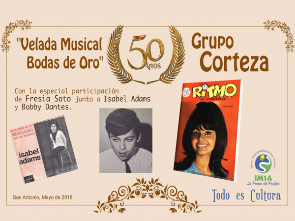 Grandes artistas de la Nueva Ola se presentar&aacute;n en el gimnasio del ex Liceo Fiscal