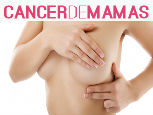 Equipo de salud de CESFAM 30 de Marzo entregará información sobre cáncer de mamas en feria libre de Alto Mirador