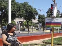 Municipio repuso util "Solm&aacute;foro"