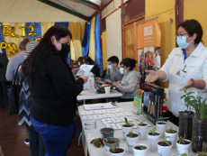 Comunidad de Villa Las Dunas accedi&oacute; a tr&aacute;mites municipales