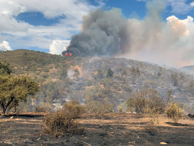 Equipo de emergencia de la Municipalidad de San Antonio est&aacute; prestando apoyo log&iacute;stico en incendio forestal &ldquo;San Juan de Huinca&rdquo;