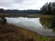 Este jueves 21 se presentar&aacute; proyecto fotovoltaico Rivazzurra solar en San Juan