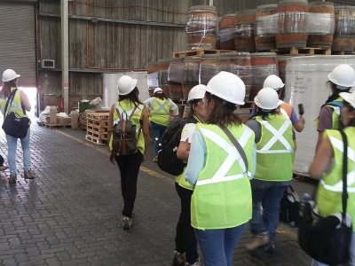 Programa de capacitaci&oacute;n inserto en el Municipio sanantonino lleva a sus alumnas a terreno