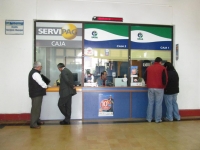 Municipio San Antonio inicia el proceso renovaci&oacute;n de patentes