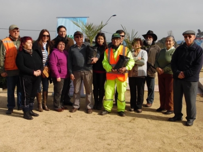 Palmas chilenas donadas al municipio por Codelco est&aacute;n siendo plantadas en distintos puntos de San Antonio