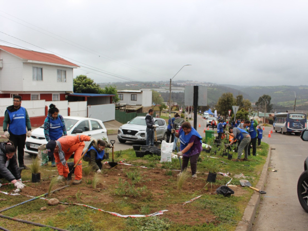 Municipalidad informa sobre el plan de revegetaci&oacute;n comunal