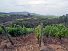 El Servicio de Evaluaci&oacute;n Ambiental presenta informe sobre la Declaraci&oacute;n de Impacto Ambiental por Proyecto Embalse El Canelo