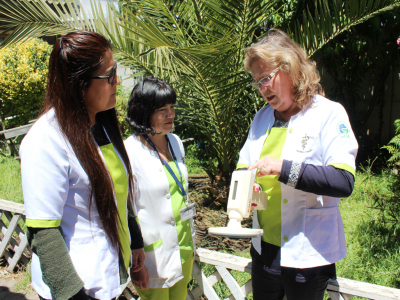 Las mascotas de San Antonio estar&aacute;n identificadas por un microchips