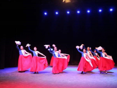 BAFOSAN se presentar&aacute; con un cuadro de huasos en el Primer Encuentro Nacional de Conjuntos Folkl&oacute;ricos Infantil y Juvenil